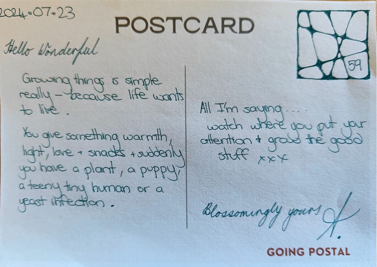 Going Postal Handwritten postcard from me to you 59